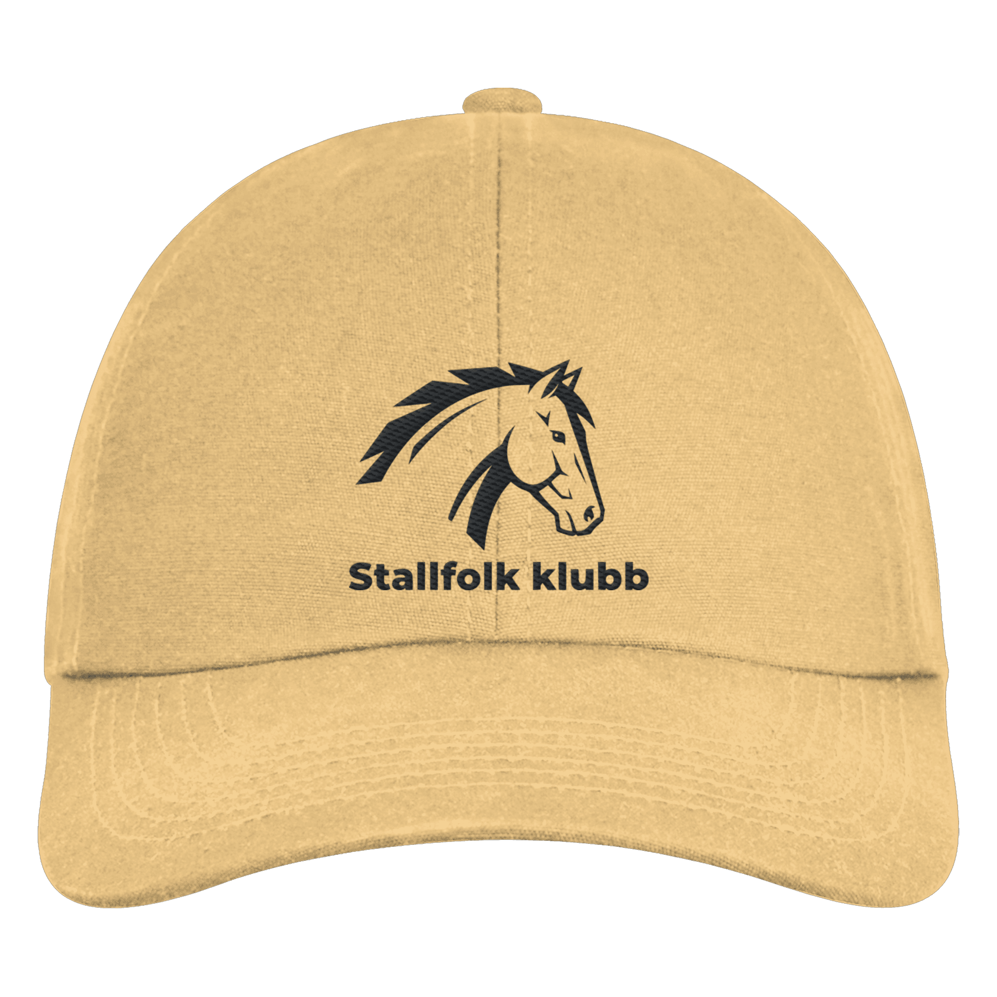 Organic 6-Panel Cap